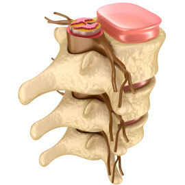spine up close