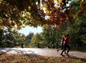 Two people jogging in a park, promoting fitness and back pain relief through movement in Dallas, TX.