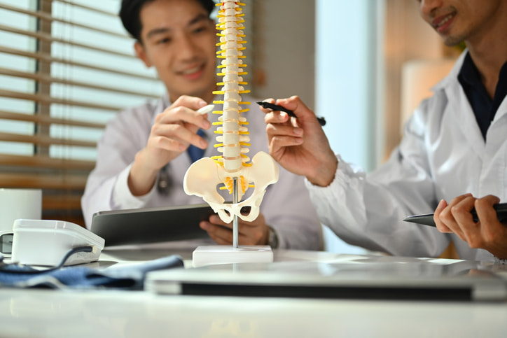 Doctors reviewing spine model for minimally invasive surgery in Houston & Texas
